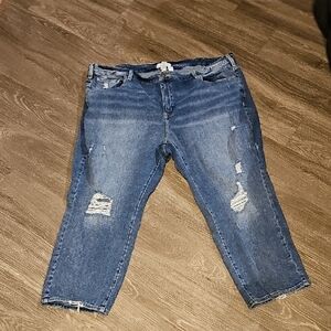 LANE BRYANT high rise straight leg jean. Plus sz 26. Magic Waistband! Like new